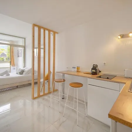 Apartment Moderne Et Lumineux Proche Plages A0b197 Cannes
